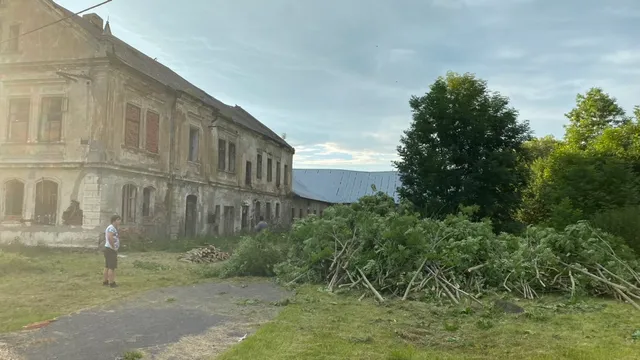 Dvůr v plném provozu — hromady větví rostou rychleji, než je stíháme odklízet.
