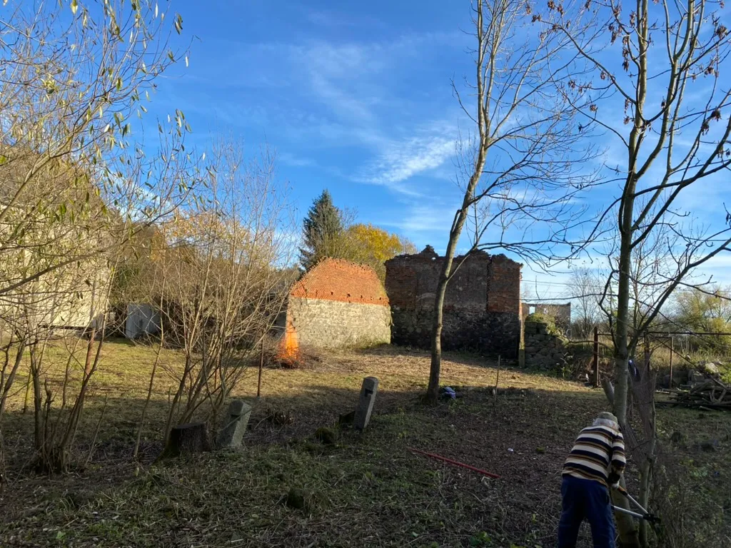 Čištění kousek od ruiny. Křoví ustupuje, ruina se ukazuje.