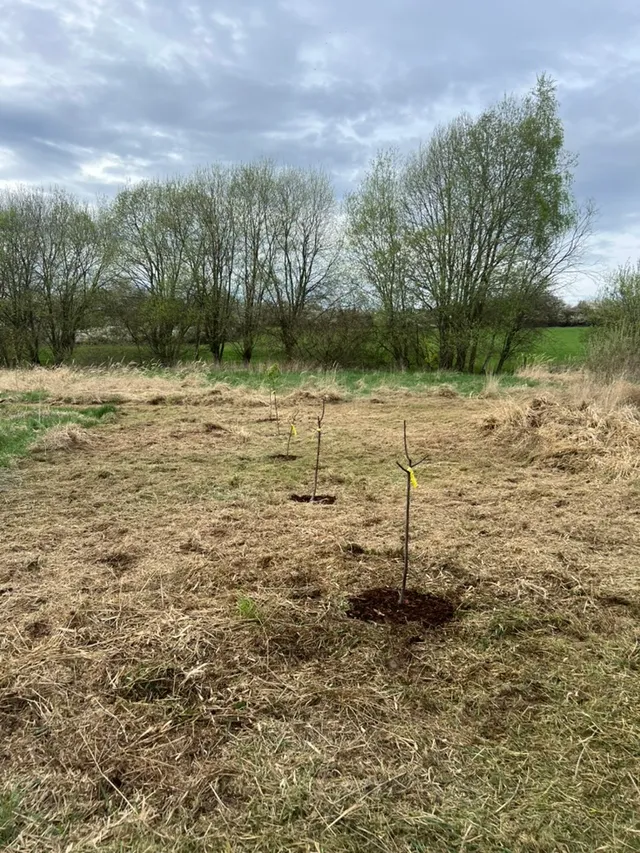 Stromky se žlutými štítky u kraje luk. Za nimi vrby a otevřené pole — krásné, ale plné zvěře.