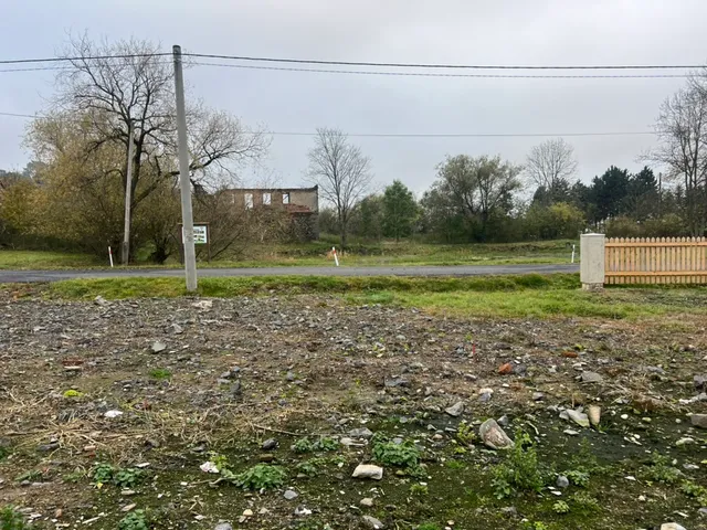Pohled přes silnici na zbytek vzdálené ruiny. Náš pozemek u nového plotu je připravený, čeká se na papíry.