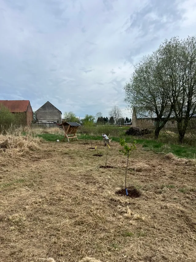 Pohled sadem ke statku. Řada mladých stromků, kolečko u krmelce a vzadu zeď staré ruiny.