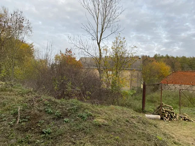 Kus pozemku, který ještě čeká. Za houštím se rýsuje statek.