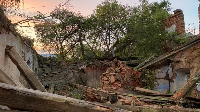 Zřícená střecha podvečer. Uvnitř roste strom — příroda si ruinu dávno vzala zpět.